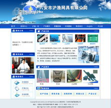六安市滬漁網具 以OA系統與軟件開發為翼，構建信息化的高效未來